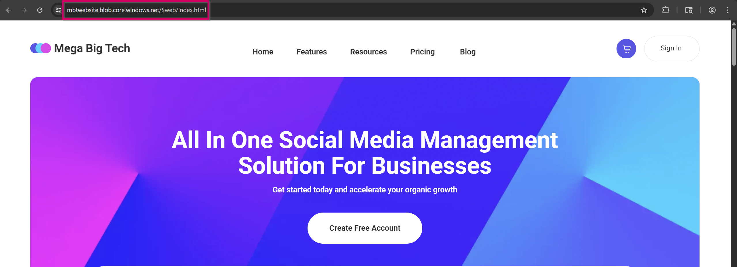 Website loaded from blob storage